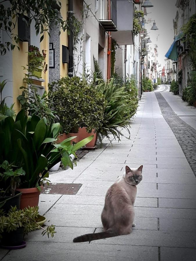 Via San Giacomo 10 Cagliari